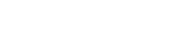Let's start diving in Blumingo!
